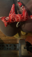 Load and play video in Gallery viewer, Rocking horse ornament
